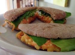 Carrot cheese sandwich