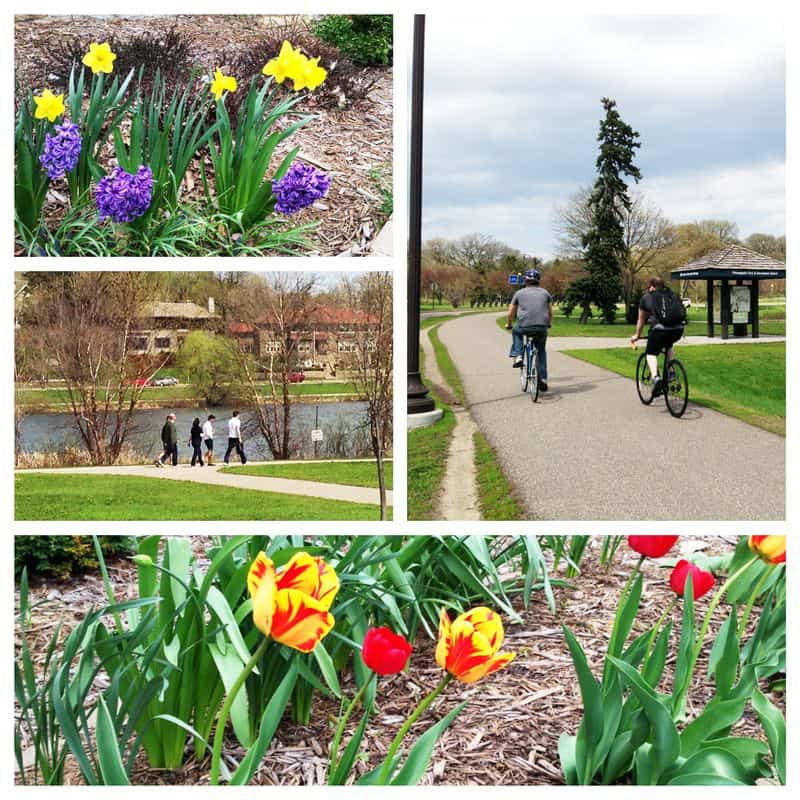 Lake-of-the-isles-spring1a