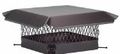 Chimney Flue Cap