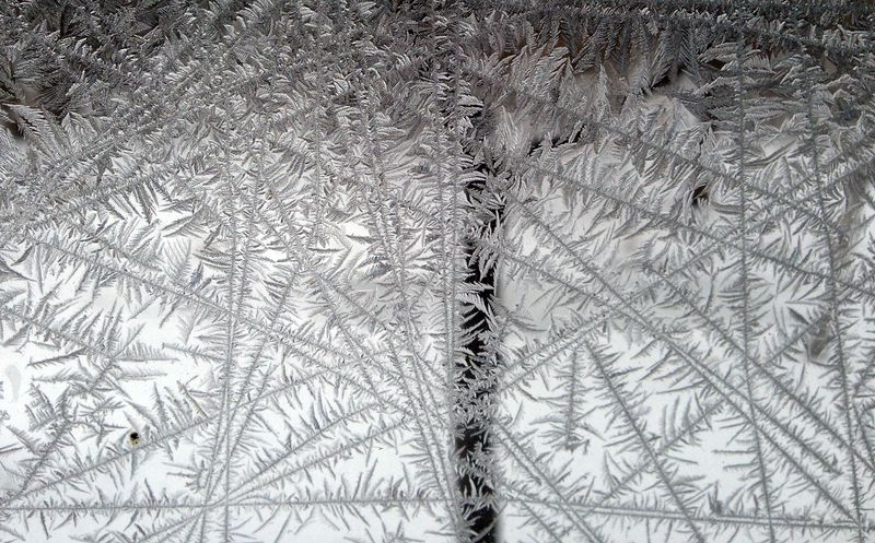 Frost1