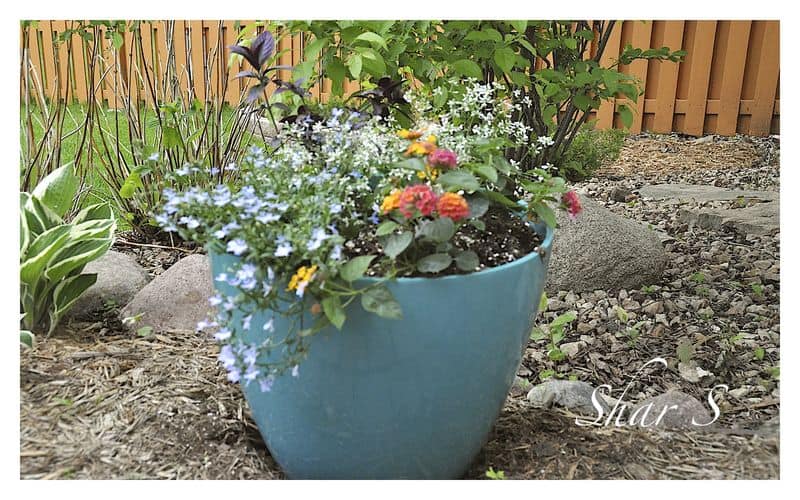 Flower Pot