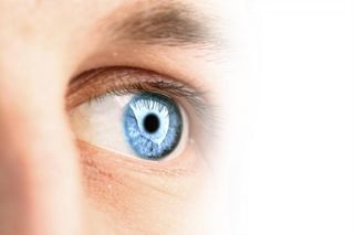 Blue-eye