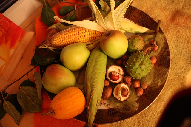 Thanksgiving-229287_640