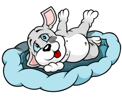 Puppy-dog-lying