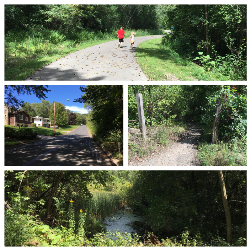 Rice Lake Nature Area - fotor collage