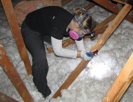 Tessa in attic