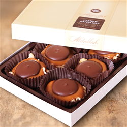 GIftCashewGrizz_500x500_t
