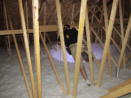 Attic inspection with Reuben