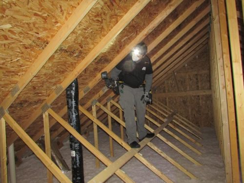 Attic inspection with Dustin