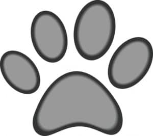 dog-or-cat-paw-print