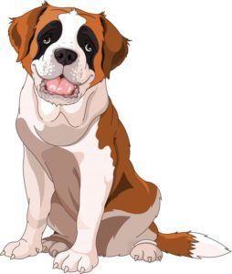 st-bernard-dog