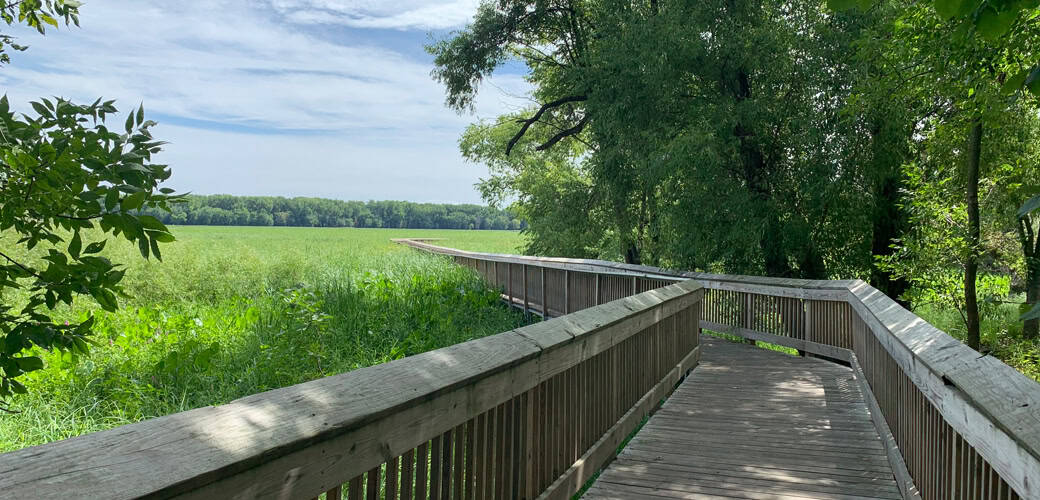 long meadow boardwalk