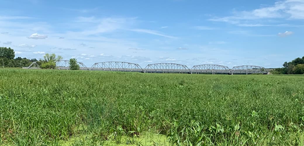 long meadow – camel bridge