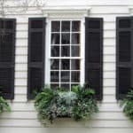 Window Boxes and Black Shutters, Charleston SC