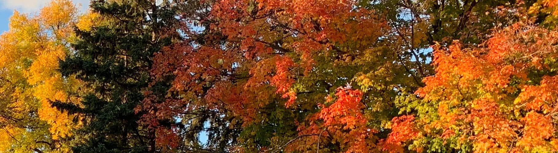2020-10-07-fall colors