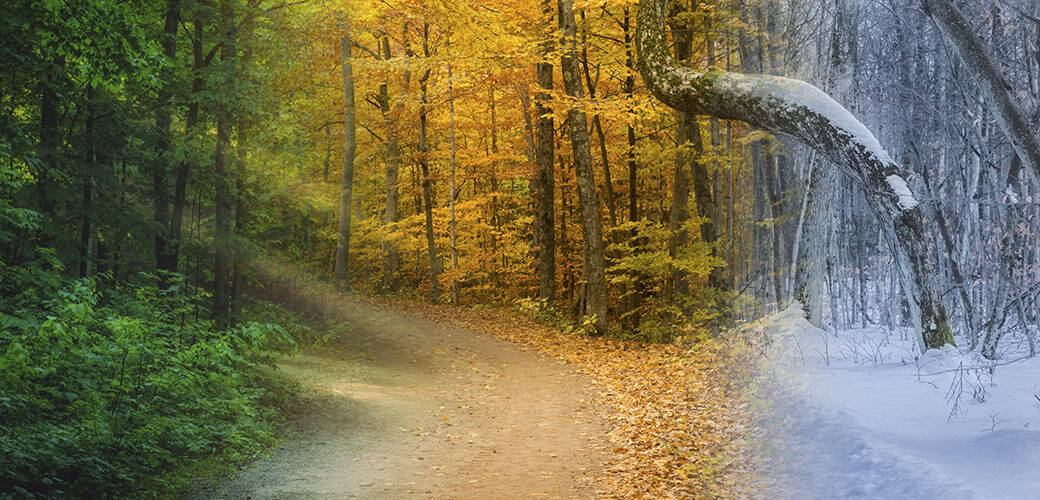 seasons