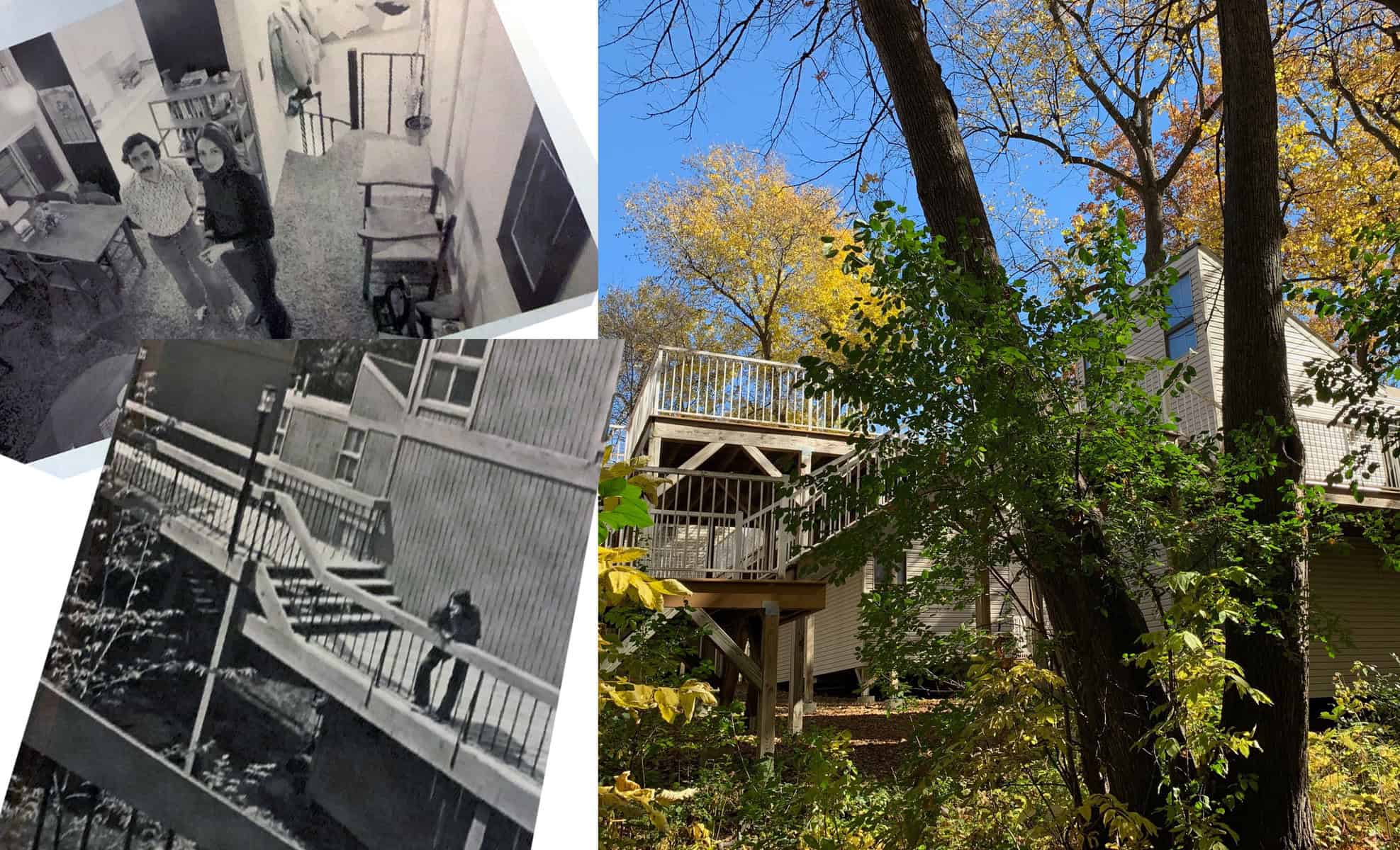 tree top apartments