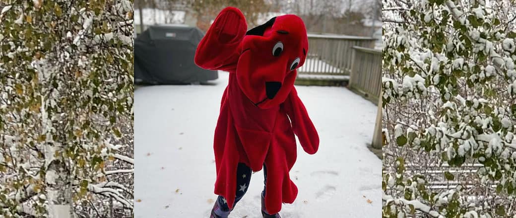 2020-11-25-clifford3
