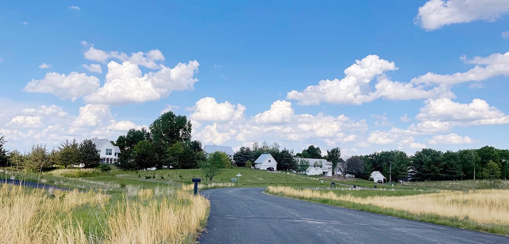 jackson meadow3b