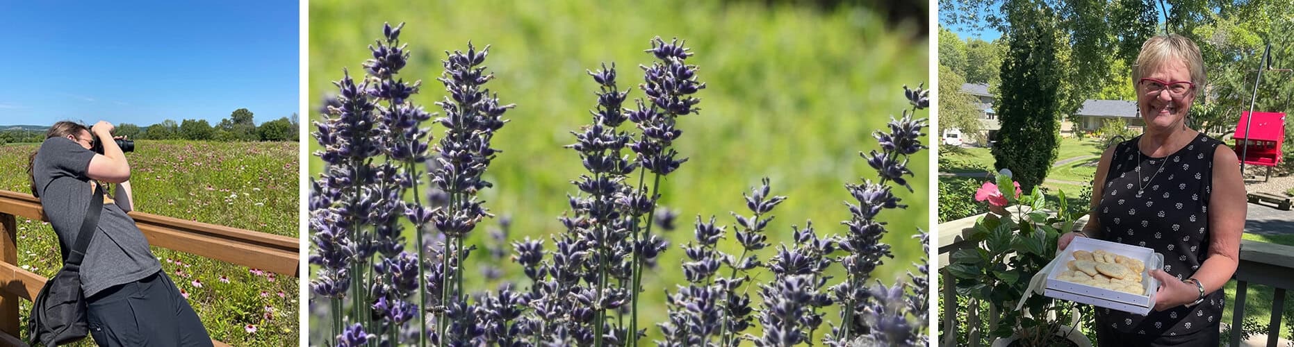 2022-09-07-lavender