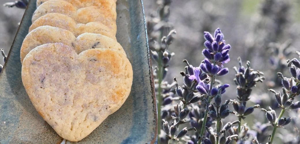 lavender cookies