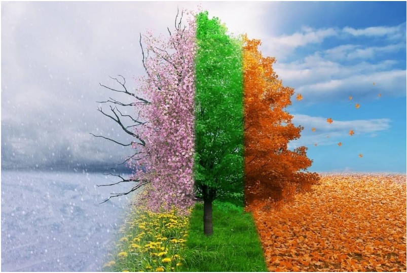Seasons