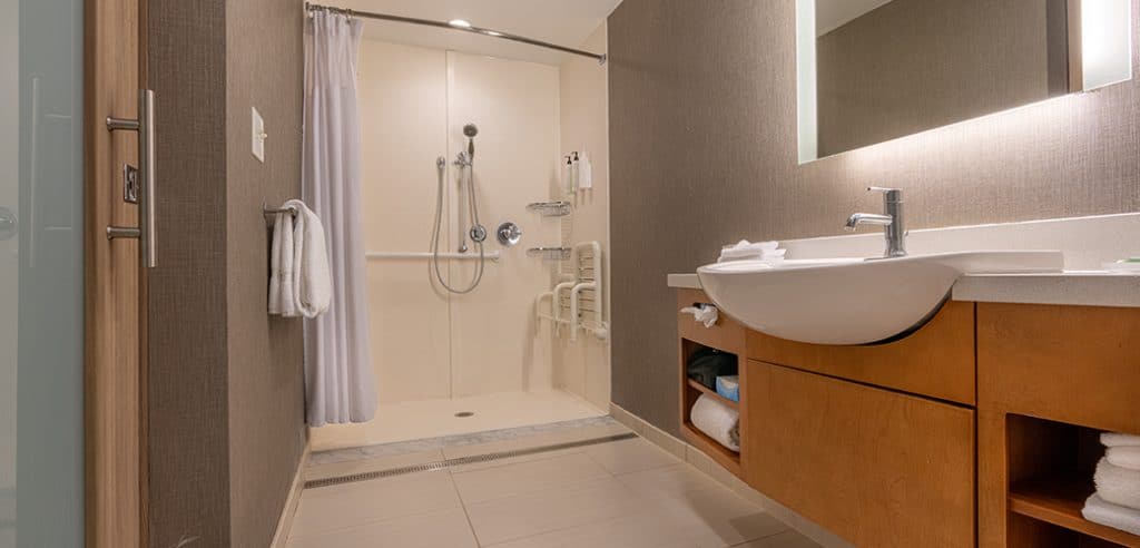 Bathroom Accessibile Shower