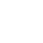 Automotive repair shop with tires and auto services in a professional setting.
