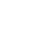 Automotive repair shop with tires and auto services in a professional setting.
