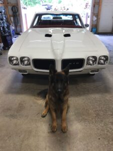 White Pontiac GTO muscle car in garage with a German Shepherd dog in front.