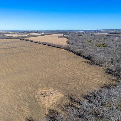 An image that shows Ivy Ln (11 Of 18)