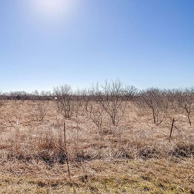 An image that shows Ivy Ln (14 Of 18)