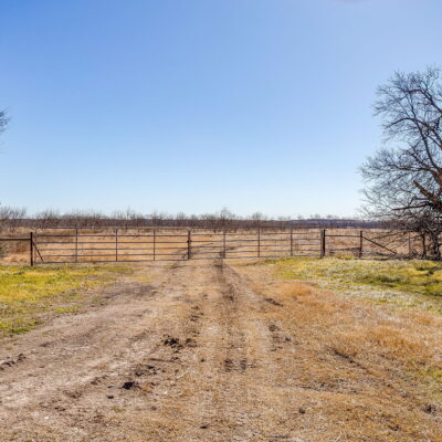 An image that shows Ivy Ln (18 Of 18)