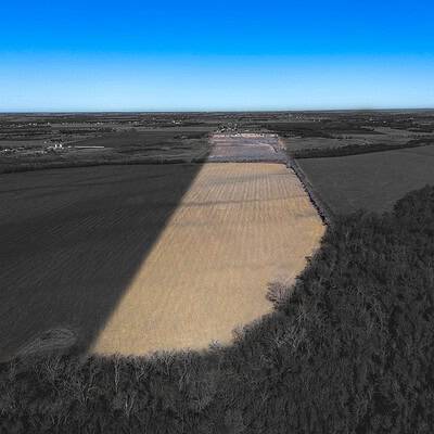 An image that shows Ivy Ln (2 Of 18)