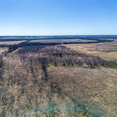 An image that shows Ivy Ln (5 Of 18)