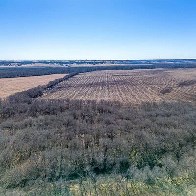 An image that shows Ivy Ln (6 Of 18)