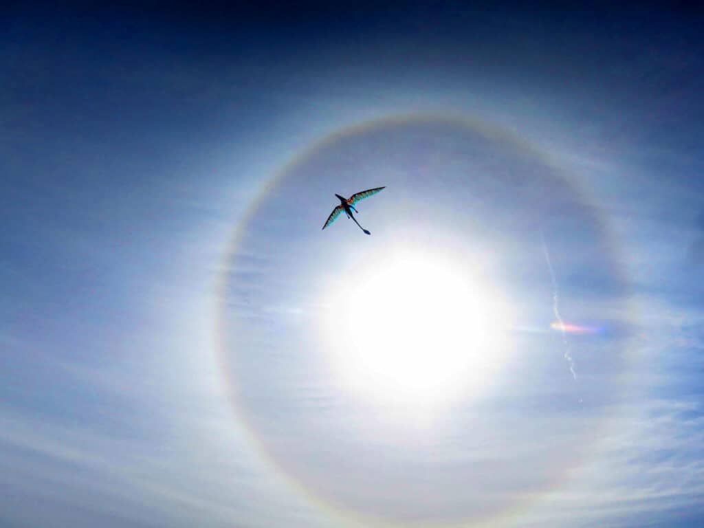Best Single Line Kite Photo Contest 2025