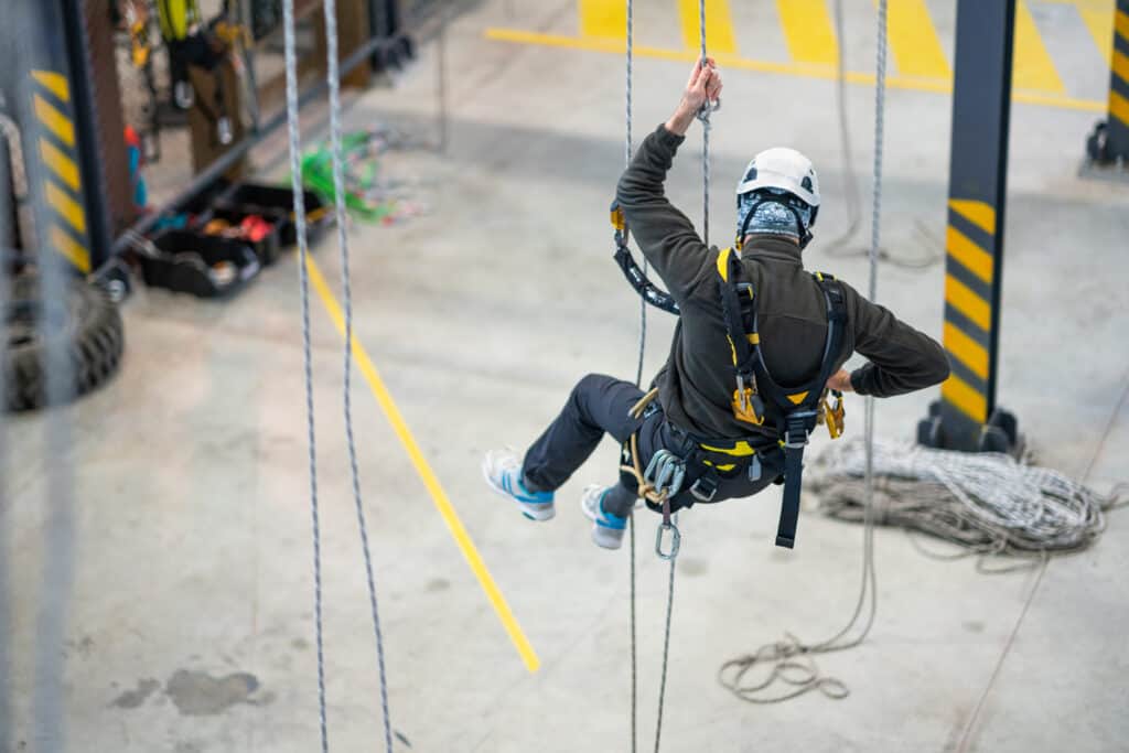 safety firts style second choosing the perfect harness for your needs