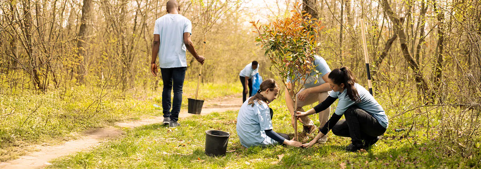 Volunteers planting trees for environmental sustainability and eco-friendly community initiatives.