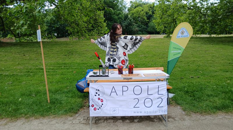 Learning about the Apollo in the White Carpathians in 2026