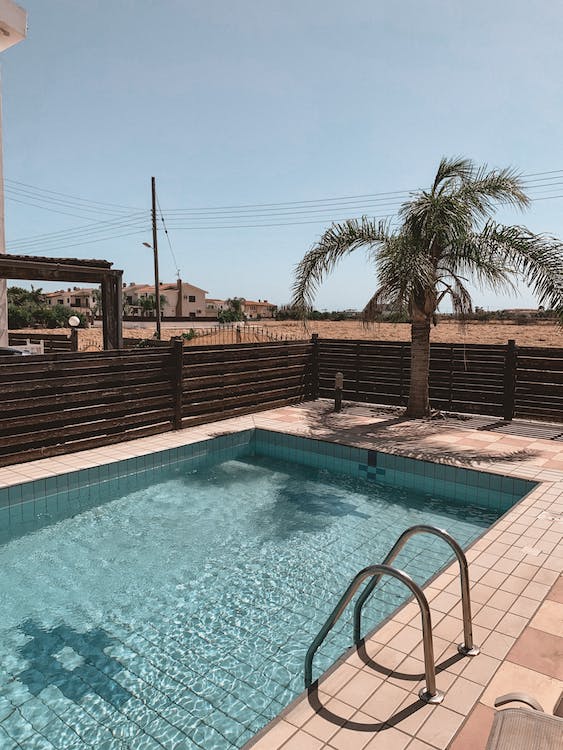 Palm Tree with Swimming Pool