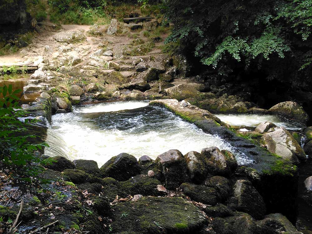 Hydropower Environmental Consents