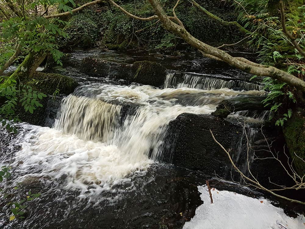 Lady's Dingle Hydropower in Snowdonia National Park