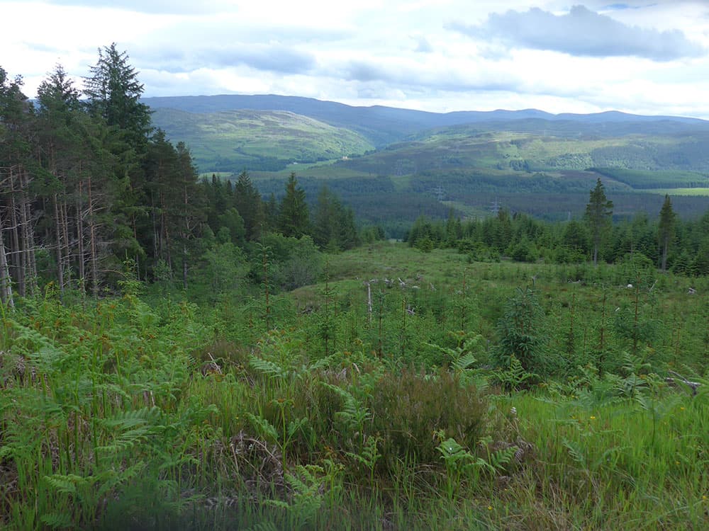 allt na fearna forestry commission hydro