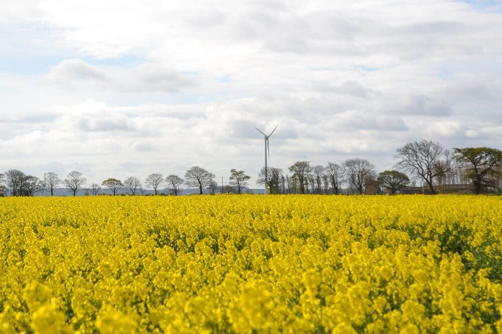 Renewables First - Blacktoft Nursery wind turbine commissioning