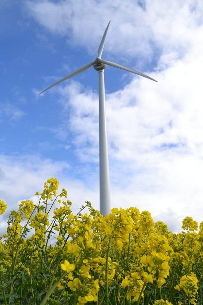 Renewables First - Wind turbine commissioning