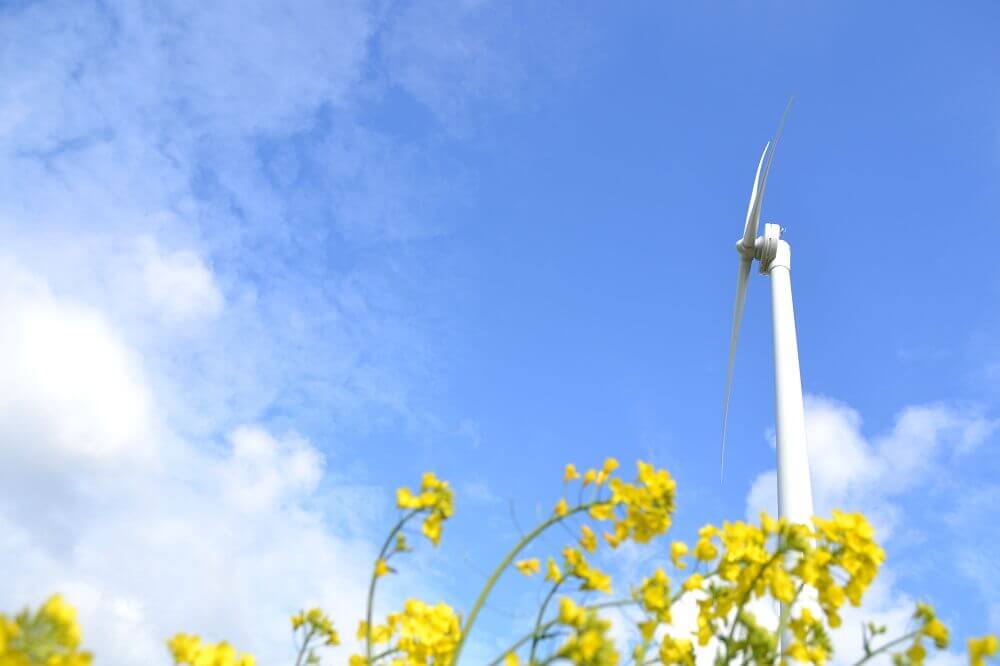Wind turbine commissioning - Renewables First