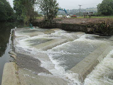 Working pool and weir fish pass