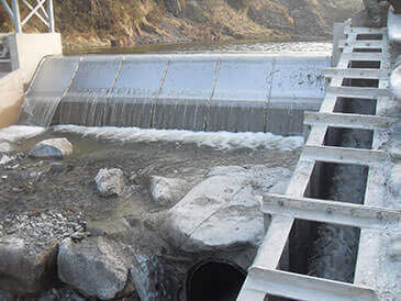 Intake and integrated fish pass