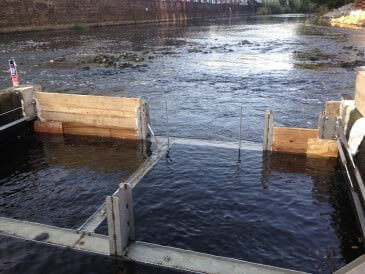 Freemans Reach hydro - Renewables First